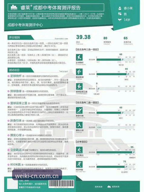 维基体育手机版CN区升级完成，移动端入口体验迎来关键转折