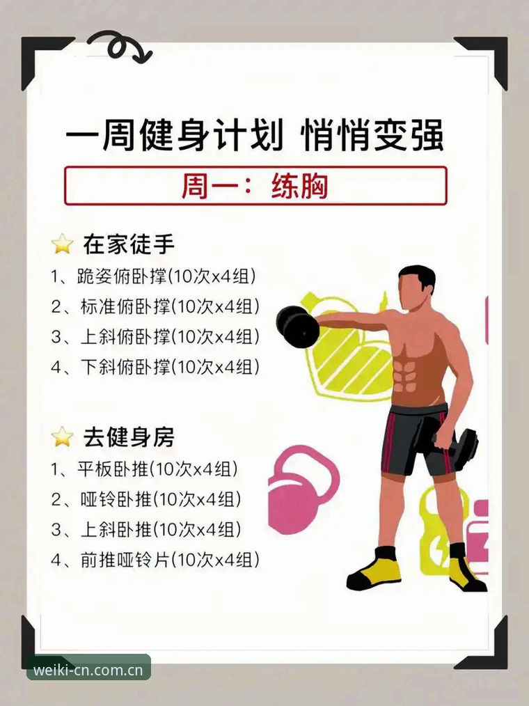 维基体育手机版实用指南——从新手到老手的必备知识
